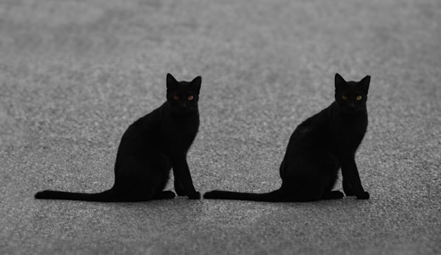 5-signs-that-you-have-already-reincarnated